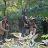 Tokyo_Rikugien_Park_10